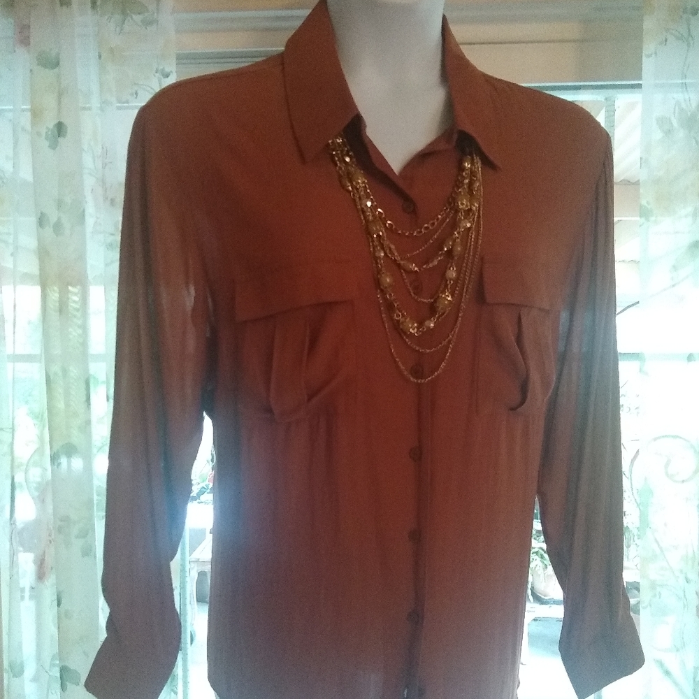 Pleione gorgeous sheer blouse..brand vew - Picture 4 of 4